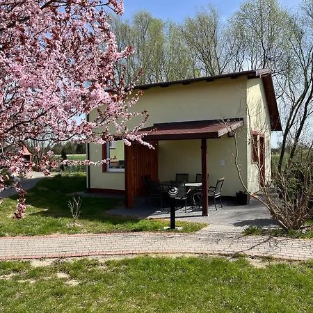 Domki I Pokoje Goscinne A A Malinowscy Stegna  Exterior foto