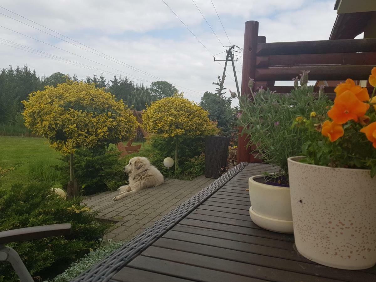 Ferienhaus I Goscinne A A Malinowscy *